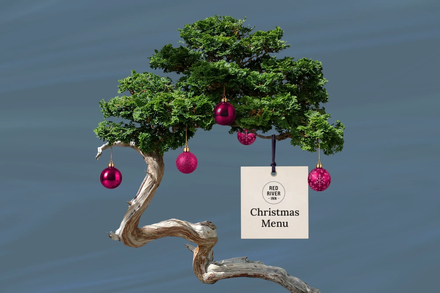 A 'Christmas Bonsai Tree' from which are hanging several baubles and a card reading Christmas Menu.