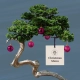 A 'Christmas Bonsai Tree' from which are hanging several baubles and a card reading Christmas Menu.